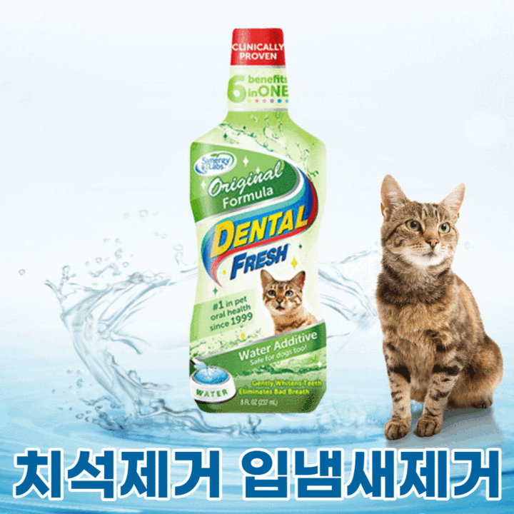 고양이양치 고양이 간편양치 물에타먹는치약 구강관리 필수템, 개, 236ml