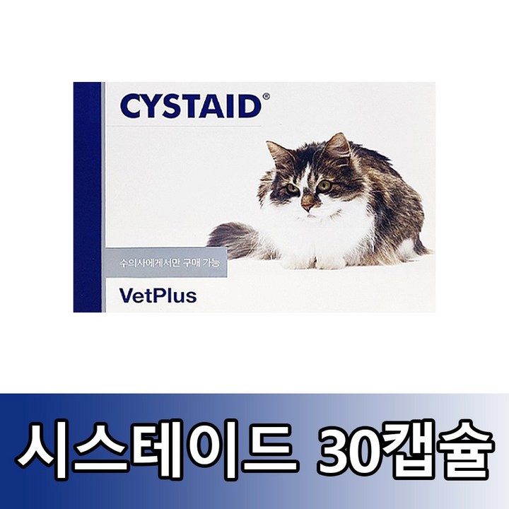 시스테이드 뱃플러스 시스테이드 플러스 고양이 영양보조제