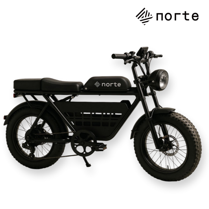 노르테 전기 자전거 자토바이 전동 스쿠터 팻바이크 MTB 배달용 출퇴근용, Y1 럭셔리, 스틸