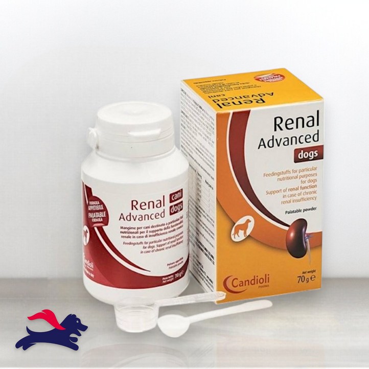 칸디올리 독스 영양제