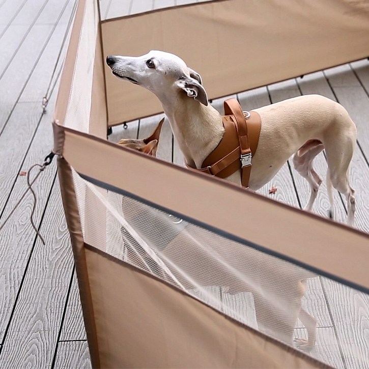 하웃 펫 울타리 올인원 2in1 데크에서도 땅에서도 강아지 펜스