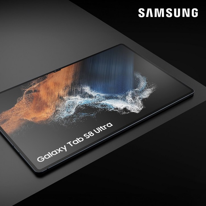 삼성전자 갤럭시탭 S8 Ultra SM-X900, 그라파이트, Wi-Fi, 256GB