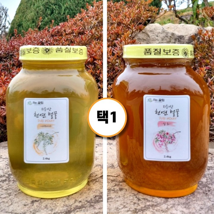 지리산 100% 자연산 아카시아 잡화 국산 자연 벌꿀 2.4kg 1병, 2.4kg, 1개