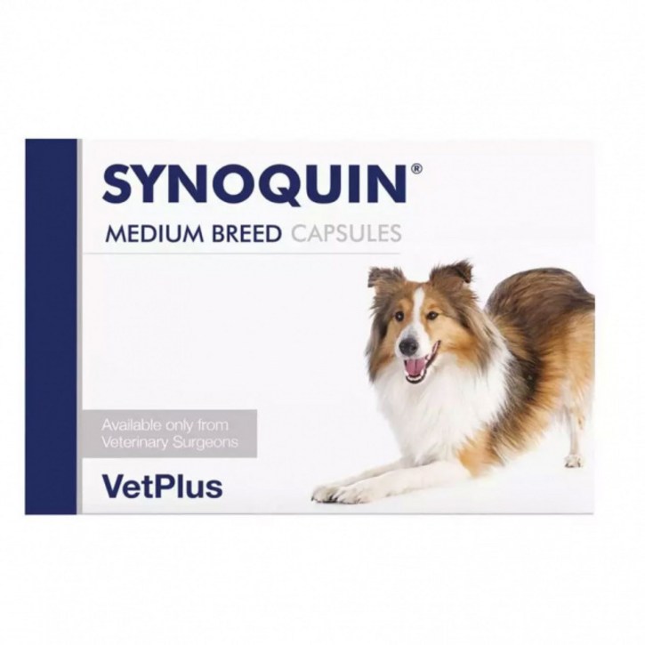 사이노퀸 시노퀸 중형견 관절영양제 120 캡슐 Synoquin EFA  Capsules Medium Breed Dog