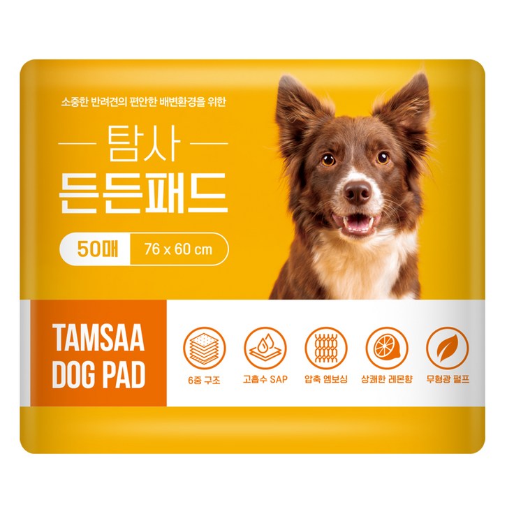 탐사 고흡수 든든패드 레몬향 탐사 고흡수 든든패드 레몬향