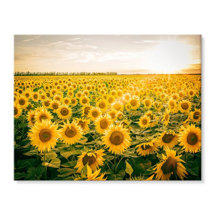 더 아트 컴퍼니 돈 들어오는 풍수 두꺼비집 가리개 30종 배전함 차단기 해바라기 사과 코끼리 자작나무 돈나무 커버 현관 그림 액자 인테리어, 8. 황금빛 해바라기 밭