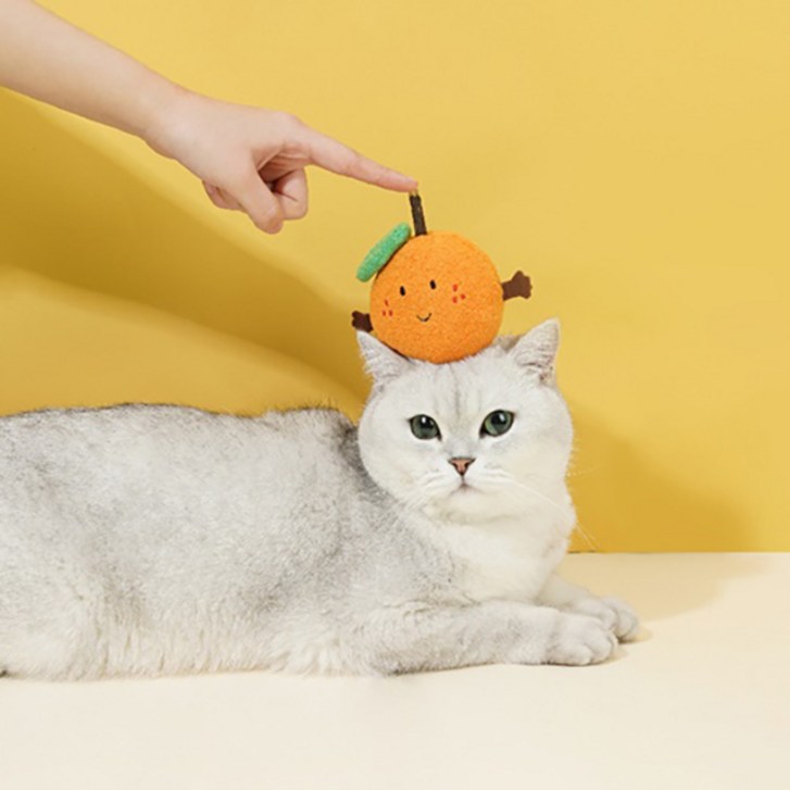 요기쏘 고양이 마따따비 상큼 감귤 장난감, 혼합색상, 1개