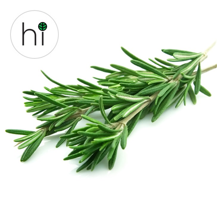 허브아이 손질 로즈마리 허브 생잎, 100g, 1개
