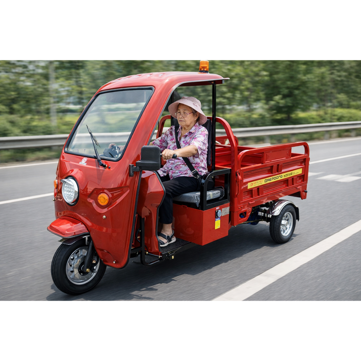 전기삼륜차 전기이륜차 친환경전기차 전문 대풍이브이자동차 전기운반차 모두카