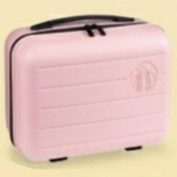 스타벅스 한국 서머 레디백 캐리어 서머 체어