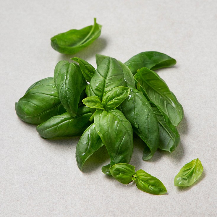 로켓프레시 국내산 바질