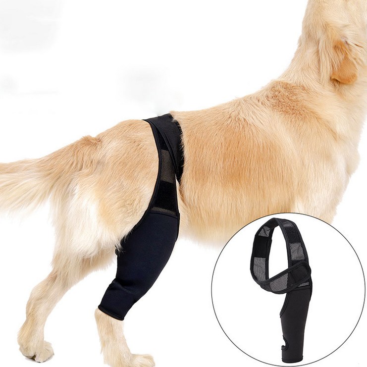 한타오 강아지 밸런스핏 관절 슬개골 보호대, XL