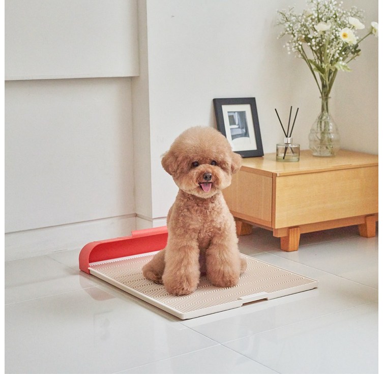 모노모그 스윙배변판 무한연장 일체형 대형 강아지 배변판