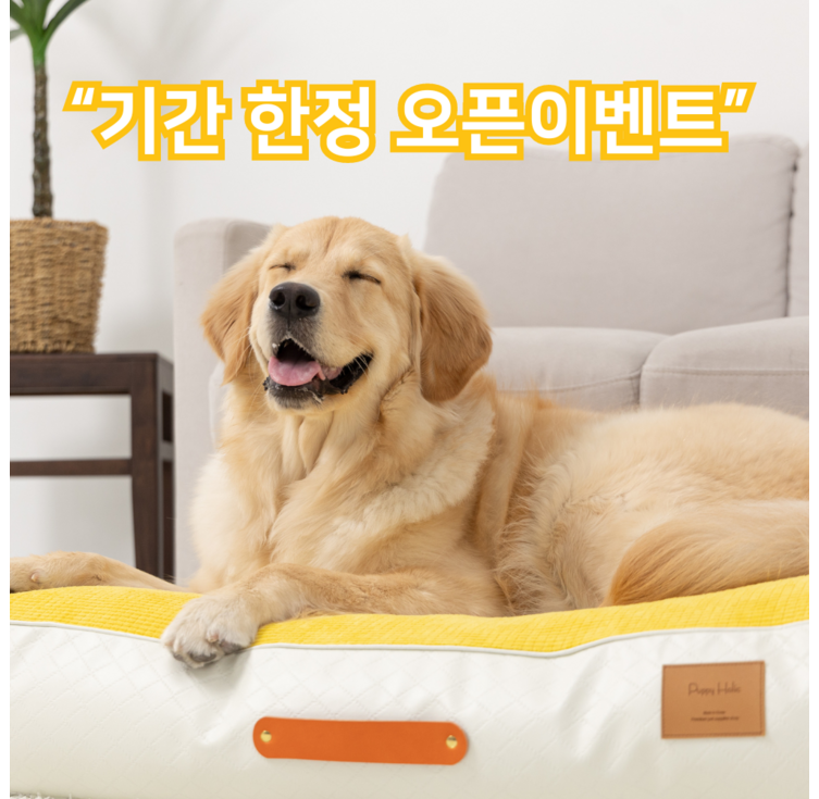 국내제조 갓성비 견이로움 강아지 애견 쭉쭉 방석 쿠션 중형 대형, 머스타드